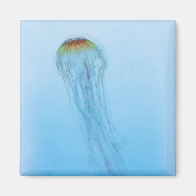 Sea Nettle Magnet (Front)