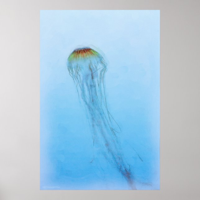 Sea Nettle Poster (Front)