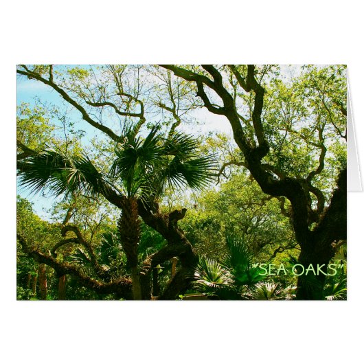 Sea Oaks Cards (Front Horizontal)