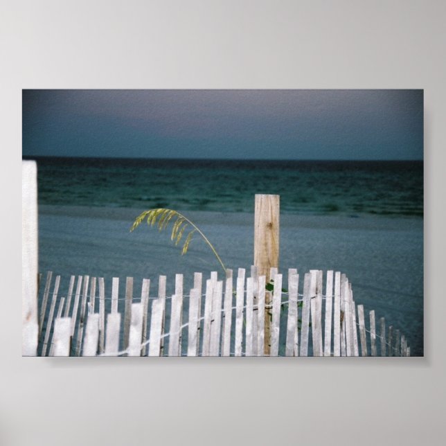 sea oat poster (Front)