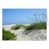 Sea Oats at Ocracoke (Front Horizontal)