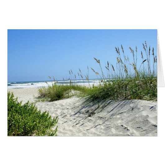 Sea Oats at Ocracoke Cards (Front Horizontal)
