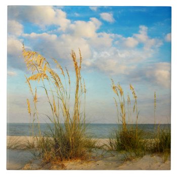 Sea Oats At The Beach Tile by jonicool at Zazzle