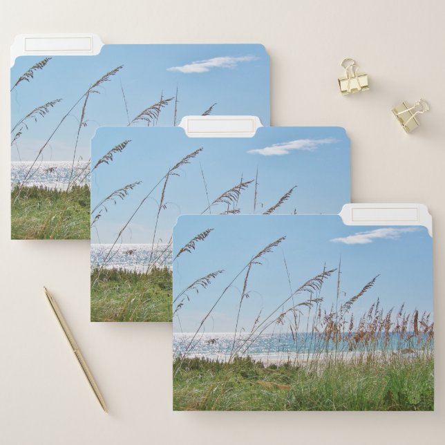 Sea Oats Beach File Folder (Set)