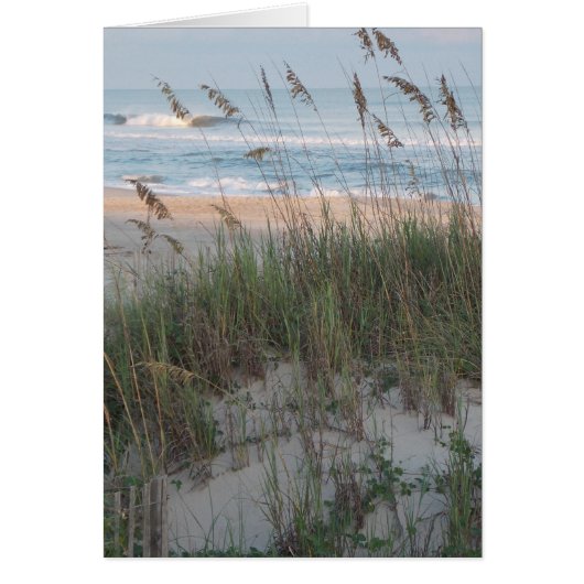 Sea Oats Cards (Front)