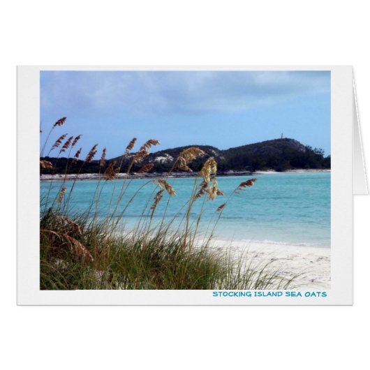 Sea Oats Cards (Front Horizontal)