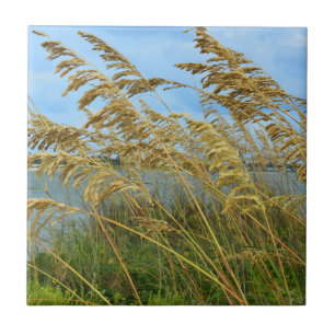 Sea Oats Ceramic Tile