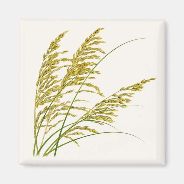 Sea Oats Magnet (Front)