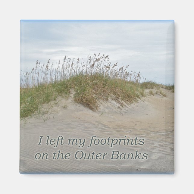 Sea Oats on Sand Dune Outer Banks NC Magnet (Front)