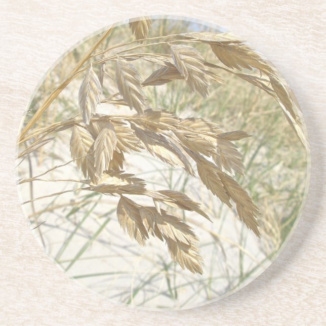 Sea Oats Outer Banks NC Series Drink Coaster (Front)