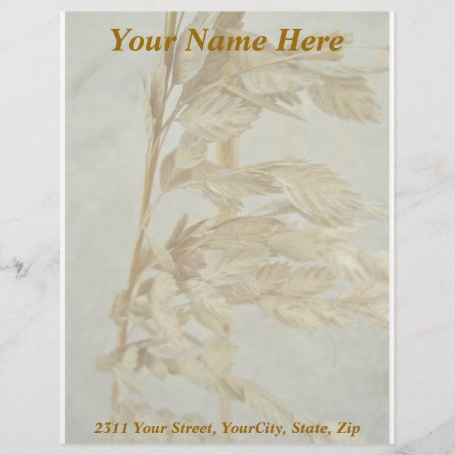 Sea Oats Outer Banks NC Series Letterhead (Front)
