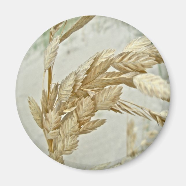 Sea Oats Outer Banks NC Series Magnet (Front)