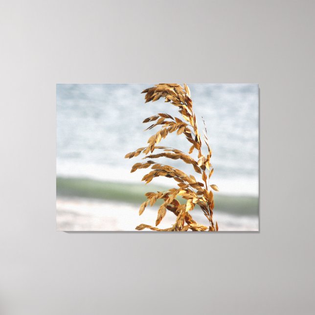 Sea Oats, Sea Breeze Canvas Print (Front)