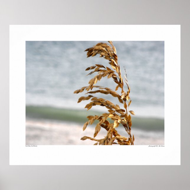 Sea Oats, Sea Breeze Poster (Front)