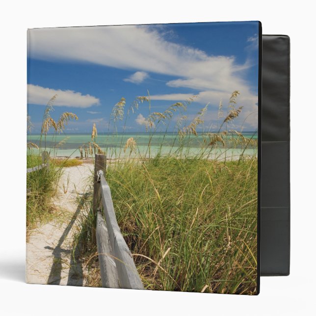 Sea oats Uniola paniculata) growing by beach, Binder (Front/Inside)
