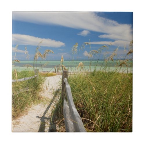 Sea oats Uniola paniculata growing by beach Ceramic Tile