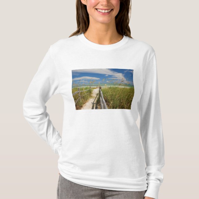 Sea oats Uniola paniculata) growing by beach, T-Shirt (Front)