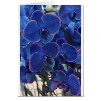 SEA OF BLUE CARDS
