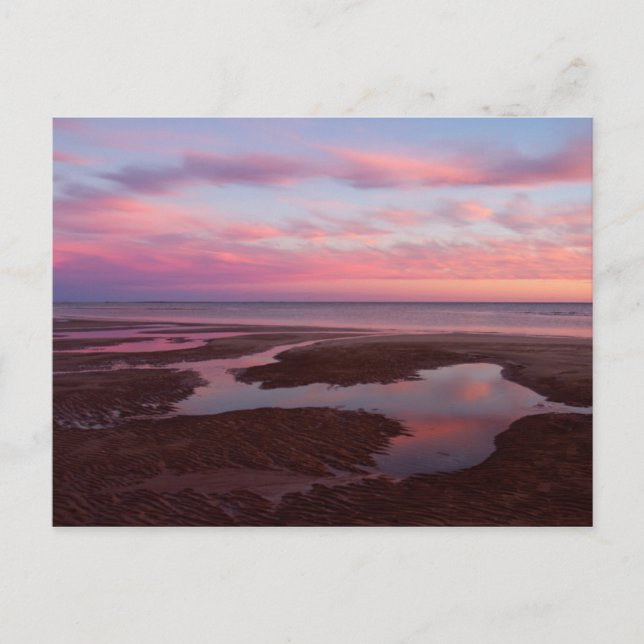 Sea Of Cortez At Dusk Postcard (Front)