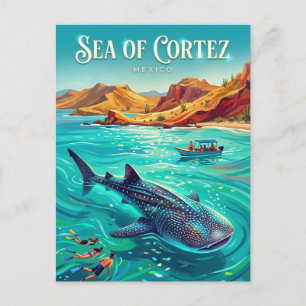 Sea of Cortez Mexico Postcard