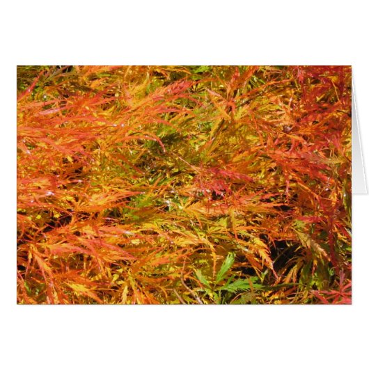 Sea of Fall Color Cards (Front Horizontal)