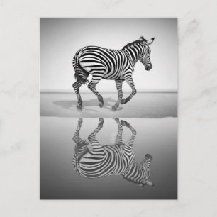 Sea of Freedom Postcard