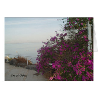 Sea of Galilee Card