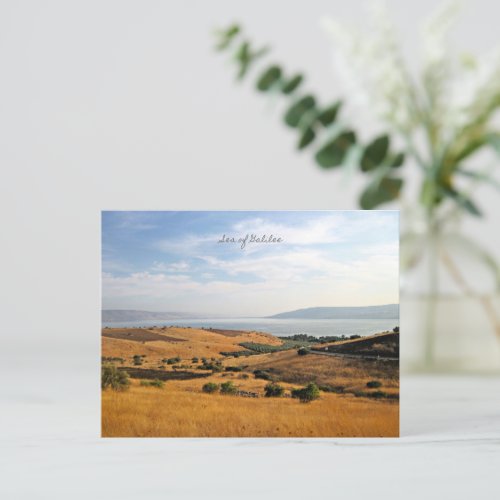 Sea of Galilee Holiday Postcard