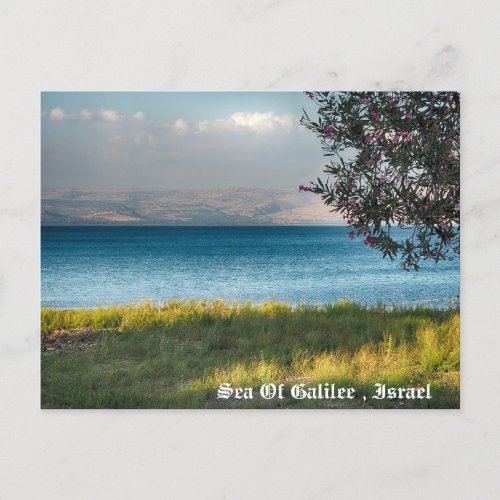 Sea Of Galilee Israel Holiday Postcard