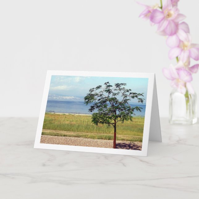 Sea of Galilee, Israeli Landscape Card (Orchid)