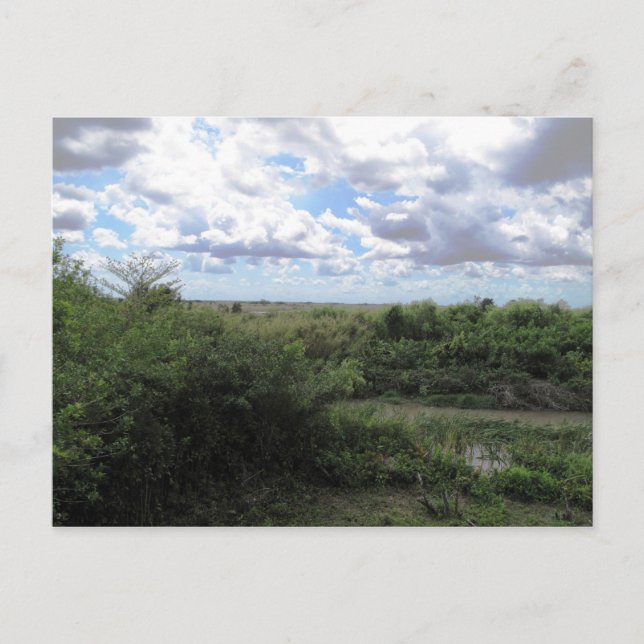 Sea Of Grass Postcard (Front)