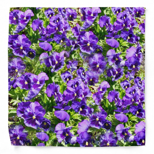 Sea of Serenity: The Beautiful Purple Pansy Field Bandana (Front)