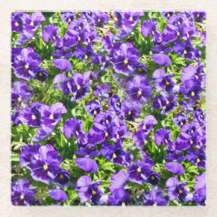 Sea of Serenity: The Beautiful Purple Pansy Field Glass Coaster