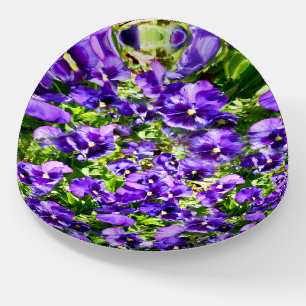 Sea of Serenity: The Beautiful Purple Pansy Field Paperweight