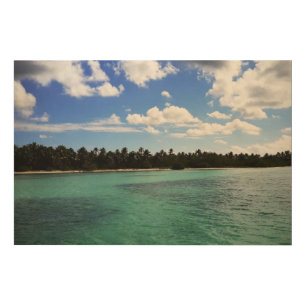 Sea of ​​the Dominican Republic Wood Wall Art