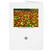 Sea of Tulips Cards (Back)