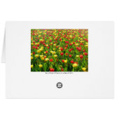 Sea of Tulips II Cards (Back Horizontal)