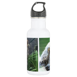 Sea otter and cheetah cub water bottle