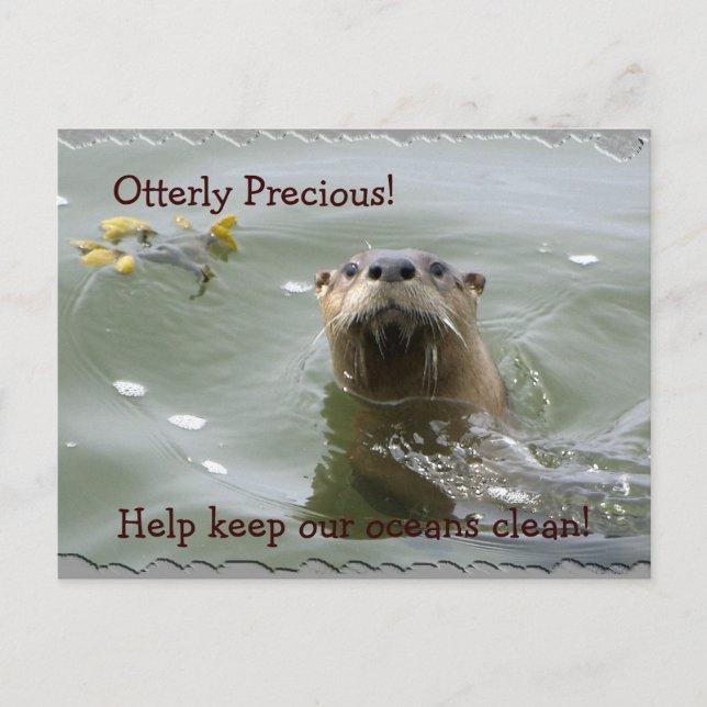 Sea Otter Anti-Pollution Postcard (Front)