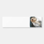Sea Otter Bumper Sticker