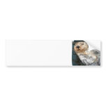 Sea Otter Bumper Sticker