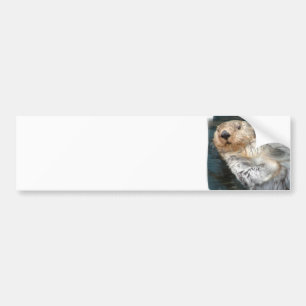 Sea Otter Bumper Sticker