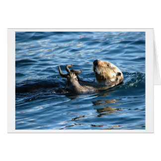 Sea Otter Cards