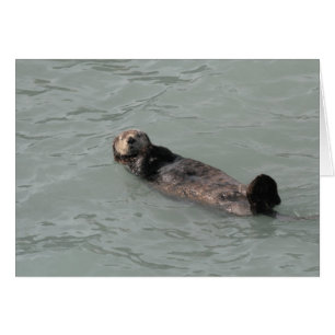Sea Otter Cards