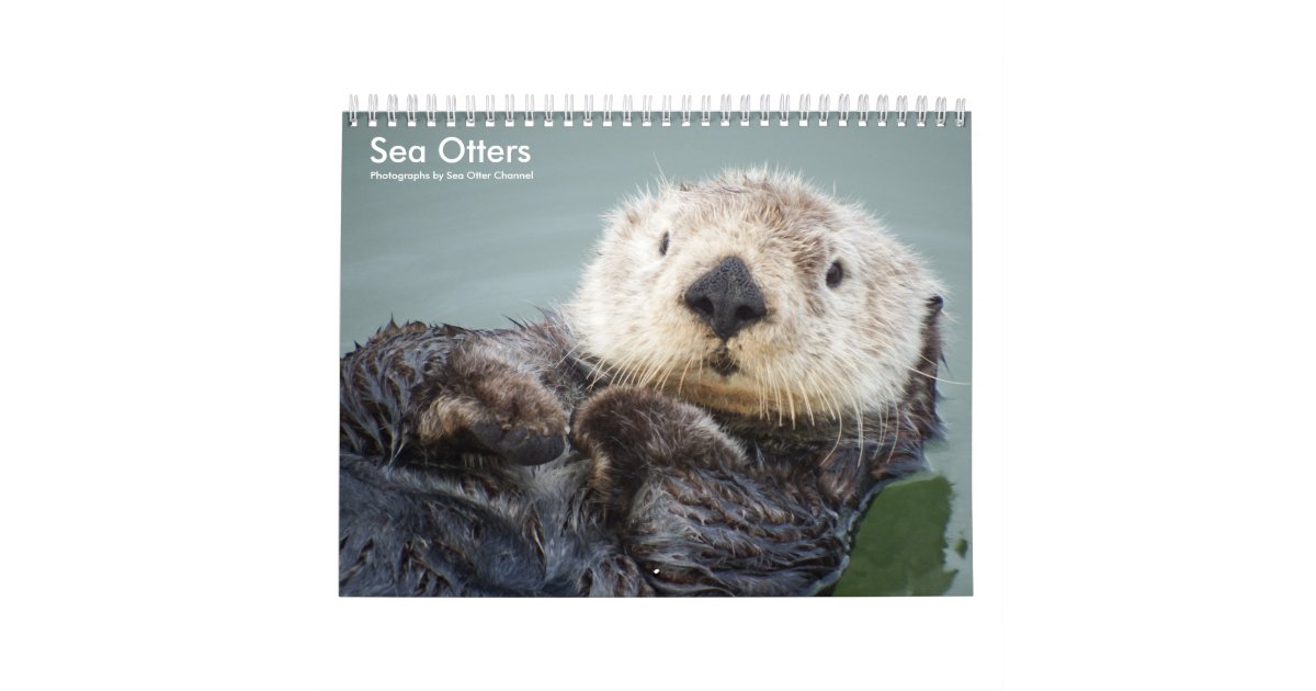 sea-otter-channel-calendar-1-zazzle