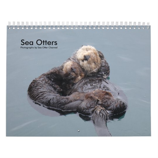 Sea Otter Calendar 2025