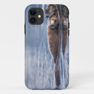 sea otter, Enhydra lutris lutris iPhone 11 Case