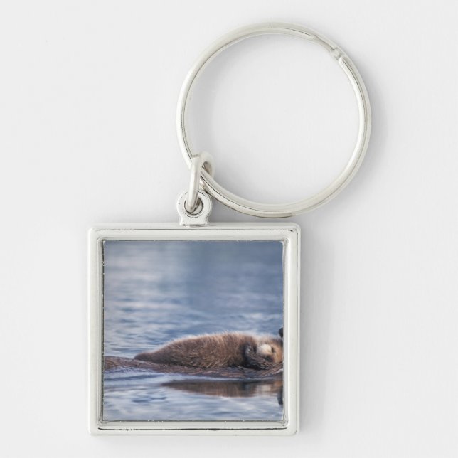 sea otter, Enhydra lutris lutris Keychain (Front)