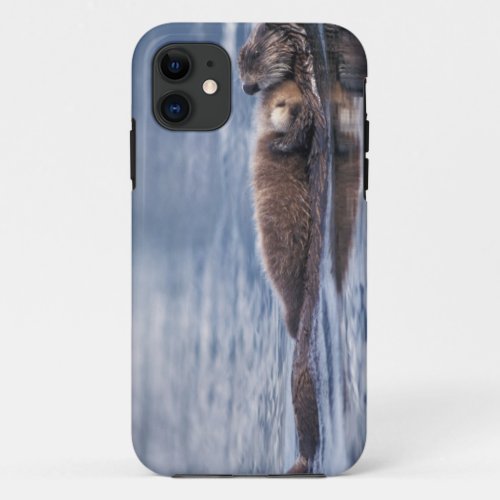 sea otter Enhydra lutris lutris mother with 2 iPhone 11 Case