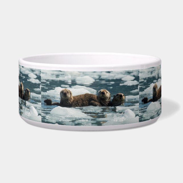 Sea Otter Family Bowl (Front)